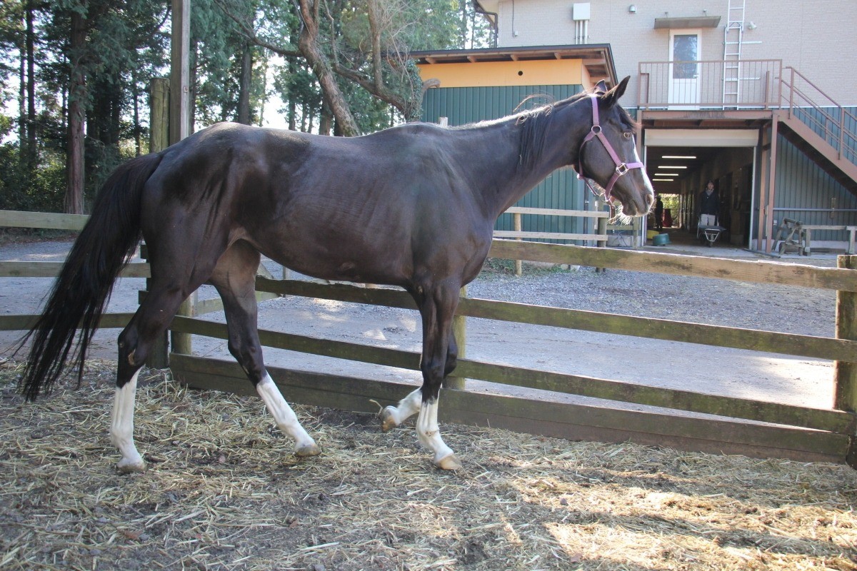 1d7f7e5ba437cd200e21c35243a76848-1769626841.jpg 1d7f7e5ba437cd200e21c35243a76848-1769626841.jpg